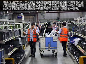 探訪現代智造新篇章 長安福特重慶工廠與重慶美農達印象